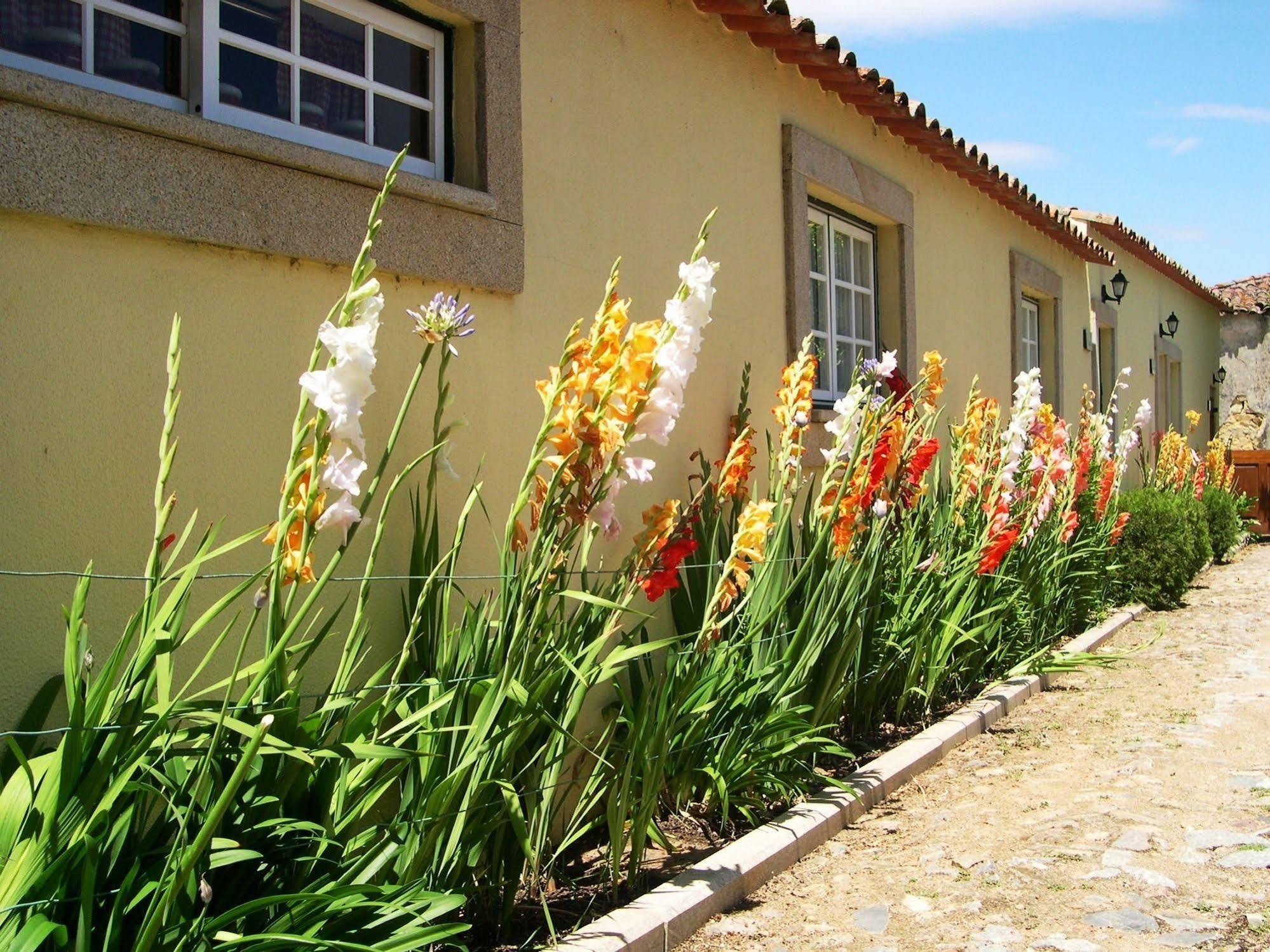 Hospedaria Do Convento D'Aguiar- Turismo De Habitacao Фигейра де Кастело Родриго Екстериор снимка